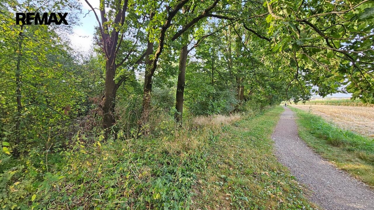 Prodej pozemku 2997 m²