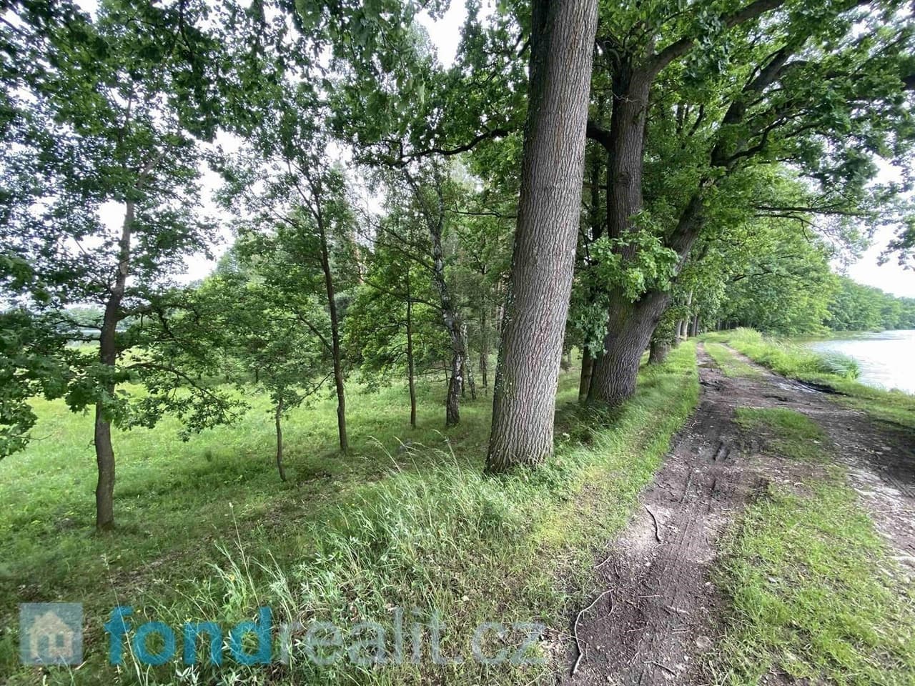 Prodej nemovitosti 1639 m²