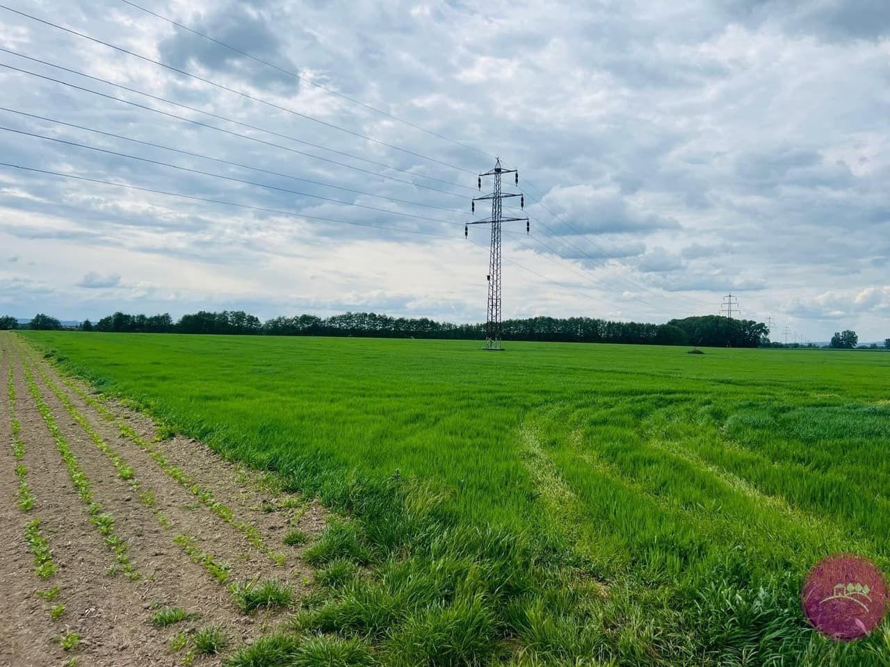 Prodej pozemku 29280 m²