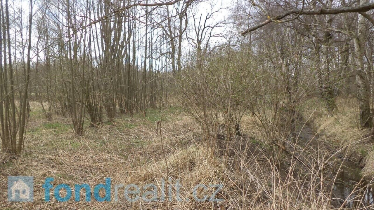 Prodej nemovitosti 19035 m²