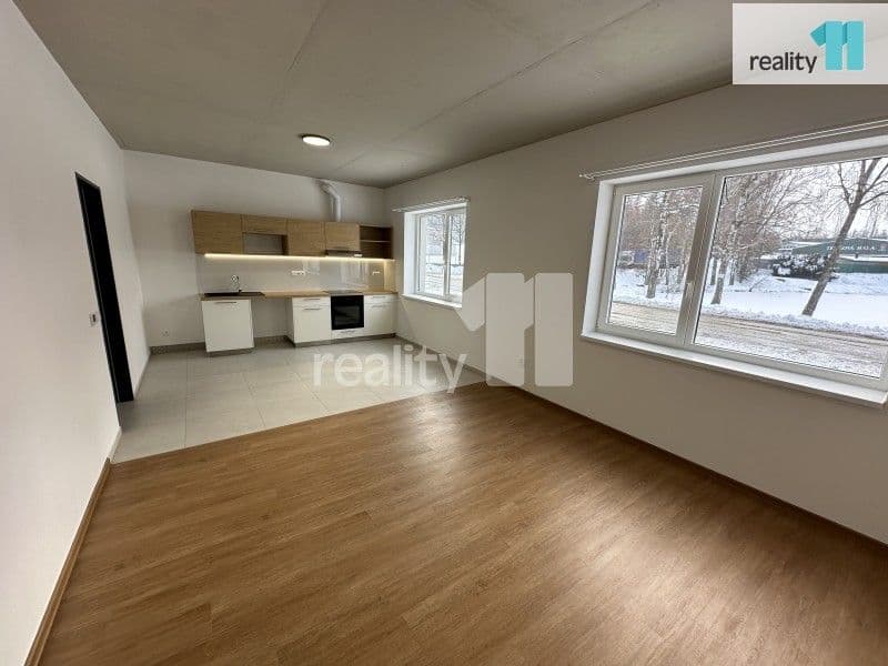 Pronájem bytu 2+kk 53 m²