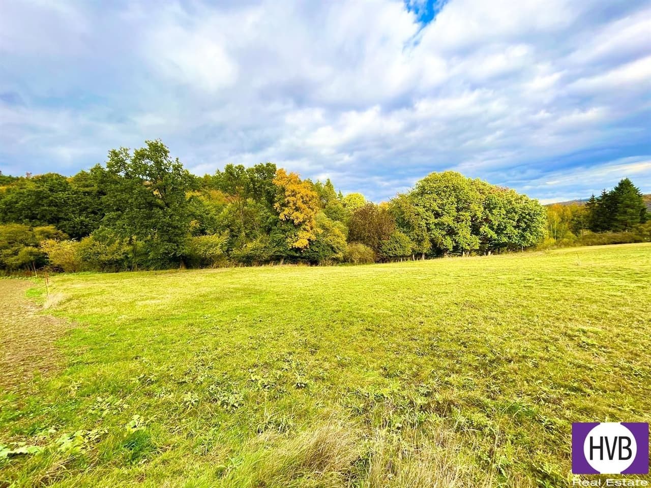 Prodej pozemku 2777 m²