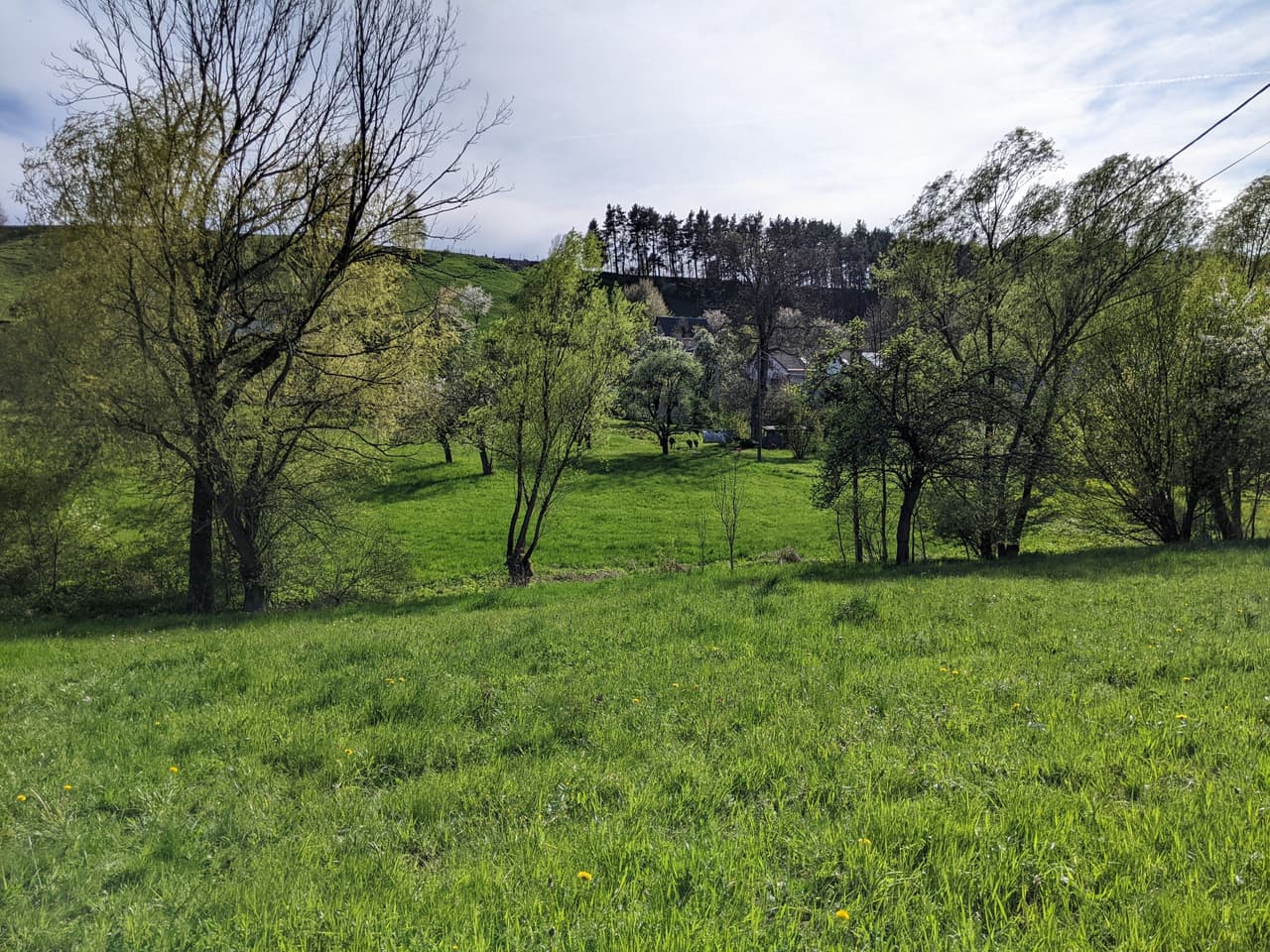 Prodej pozemku 2000 m²