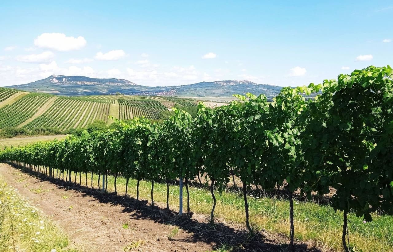 Prodej nemovitosti 90769 m²