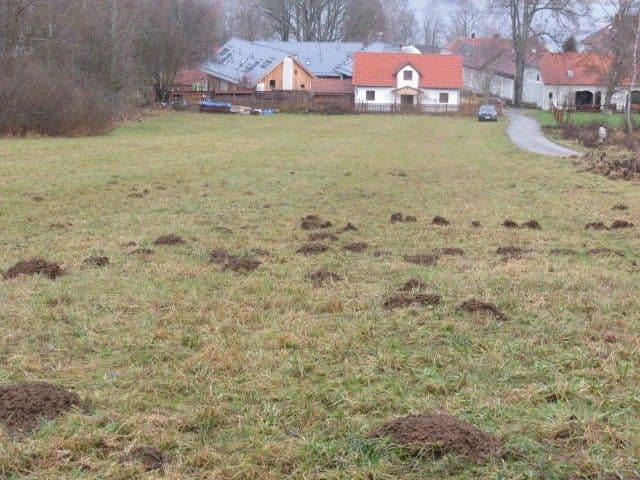 Prodej nemovitosti