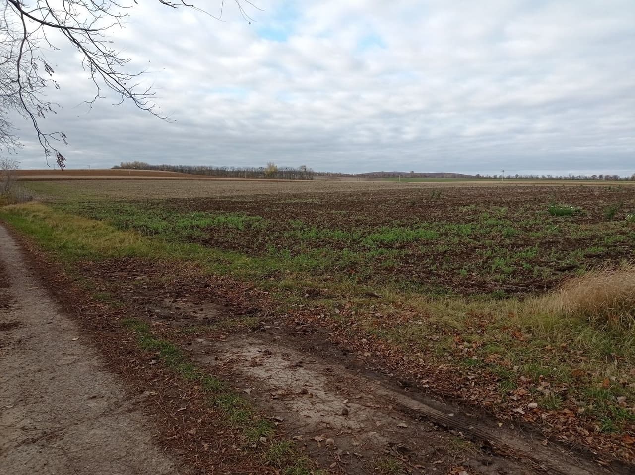 Prodej nemovitosti 25617 m²