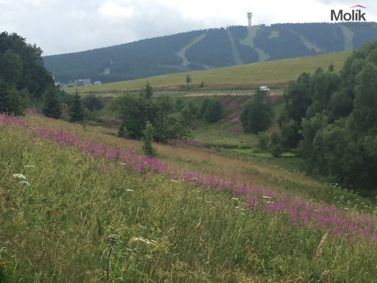 Prodej pozemku 8803 m²