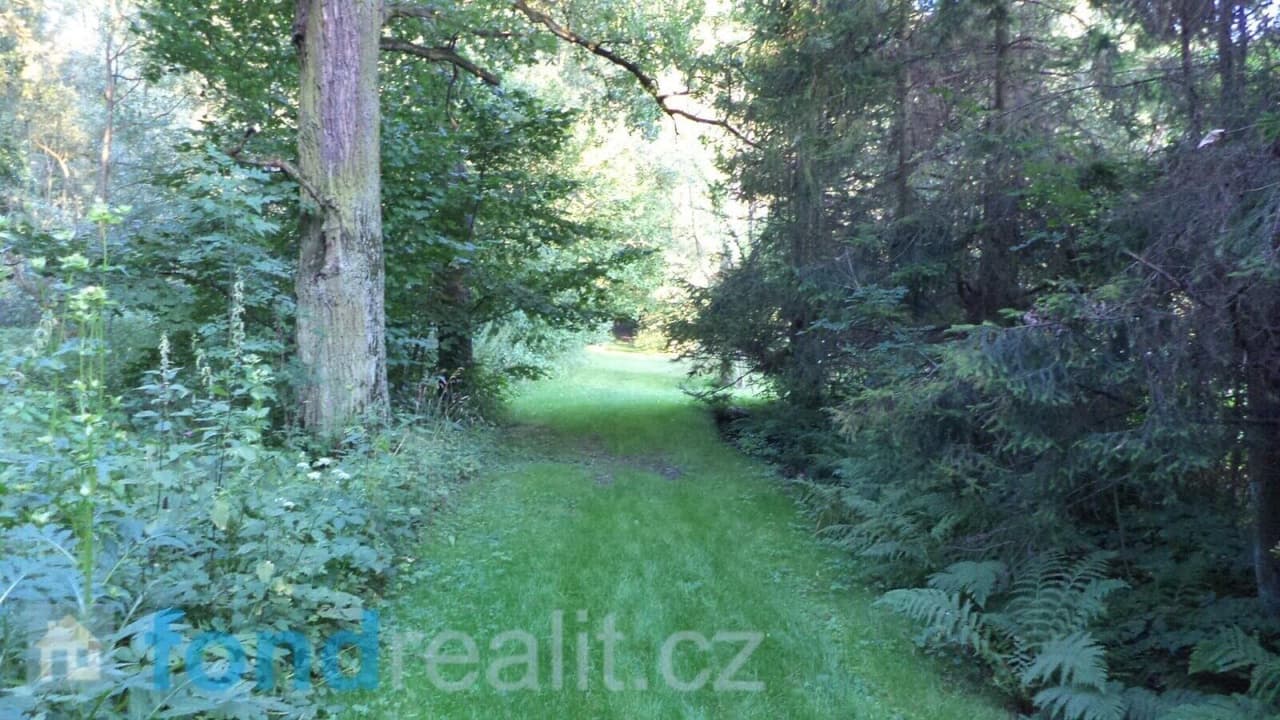 Prodej nemovitosti 225 m²