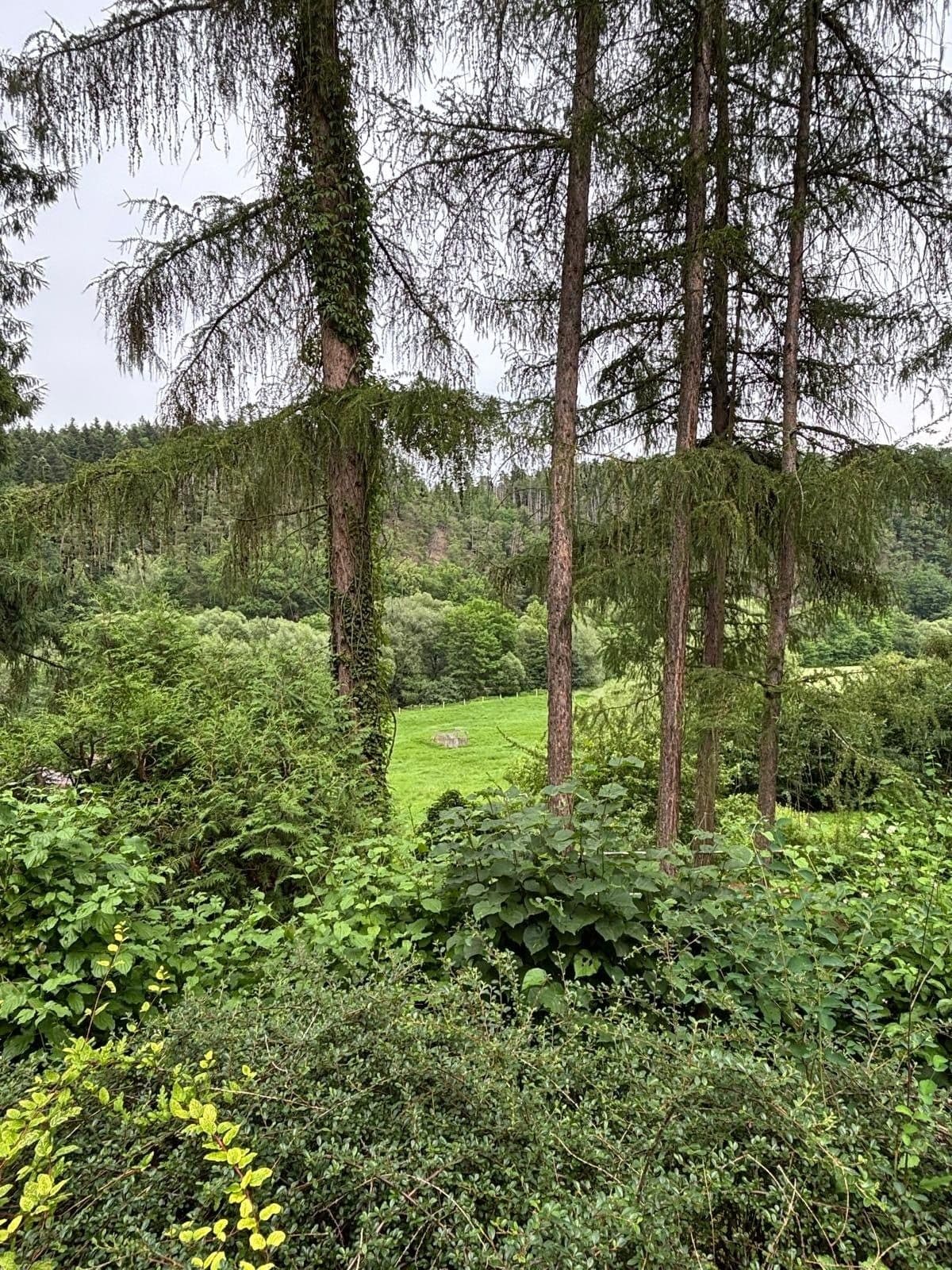 Prodej domu 75 m²